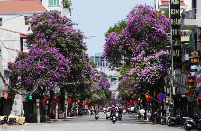 Hải Phòng dự kiến giảm 44,2% số thôn, tổ dân phố sau sắp xếp