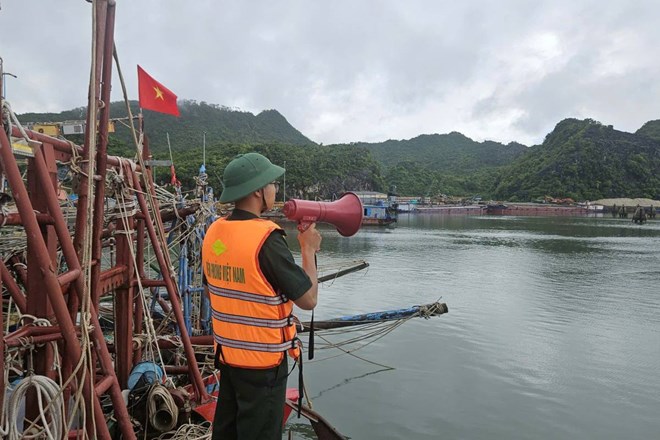 Hải Phòng khẩn trương di dời lao động trên lồng bè trước khi bão số 1 đổ bộ