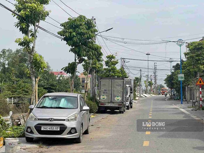 Chấn chỉnh tình trạng ô tô đỗ không đúng quy định ở Hải Phòng